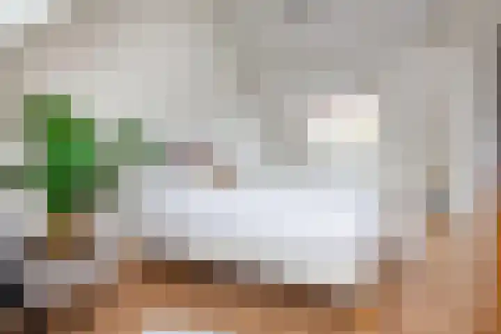 Tureluur 5 Velserbroek thumbnail 45