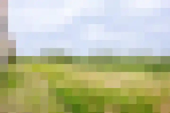 Tureluur 5 Velserbroek thumbnail 48