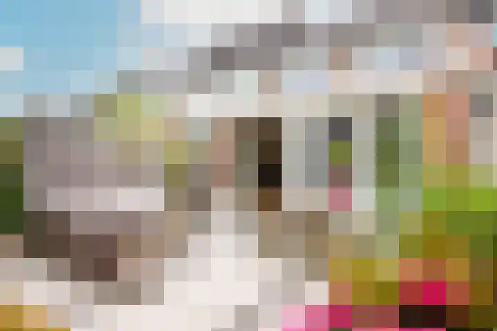 Tureluur 5 Velserbroek thumbnail 5
