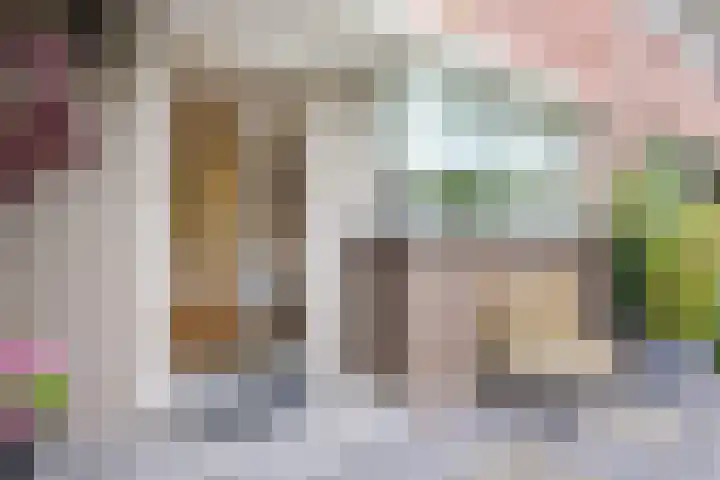 Tureluur 5 Velserbroek thumbnail 6