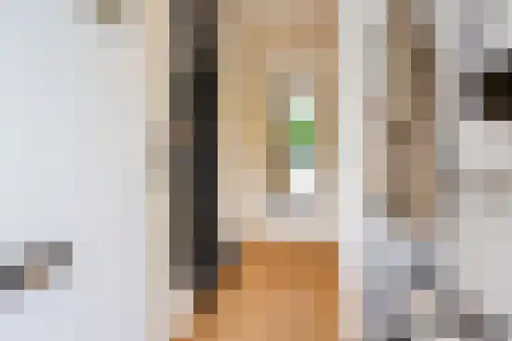Tureluur 5 Velserbroek thumbnail 7