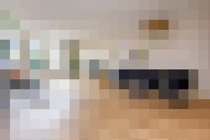 Tureluur 5 Velserbroek thumbnail 8