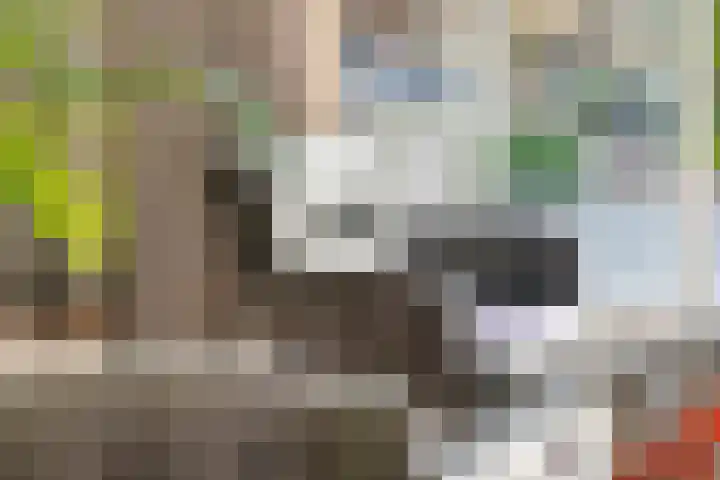 Tureluur 57 Maurik thumbnail 11