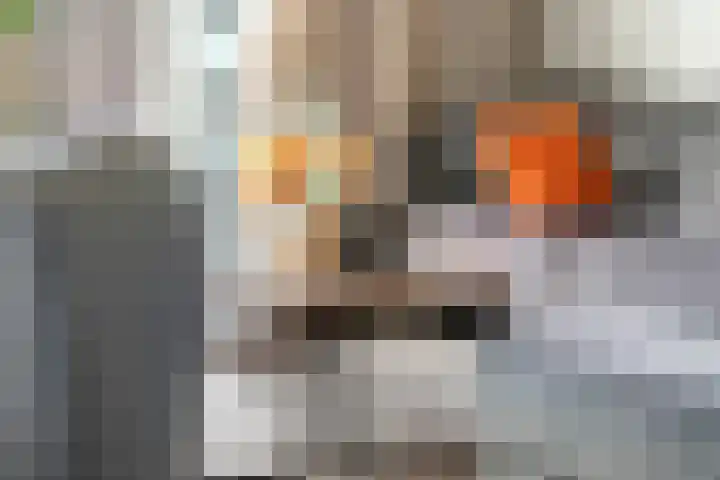 Tureluur 57 Maurik thumbnail 12