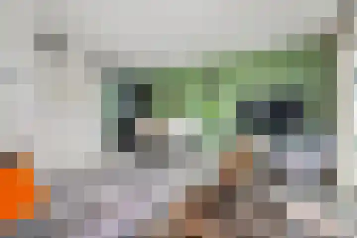 Tureluur 57 Maurik thumbnail 13