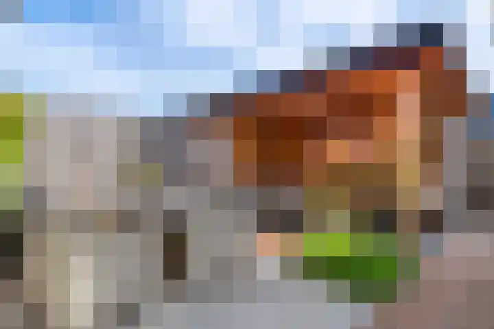Tureluur 57 Maurik thumbnail 16