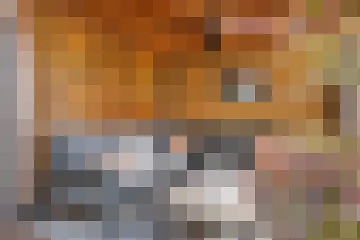 Tureluur 57 Maurik thumbnail 18