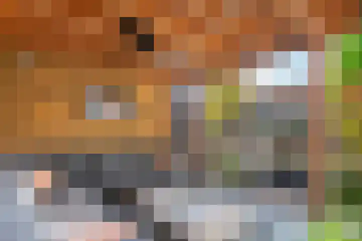 Tureluur 57 Maurik thumbnail 19
