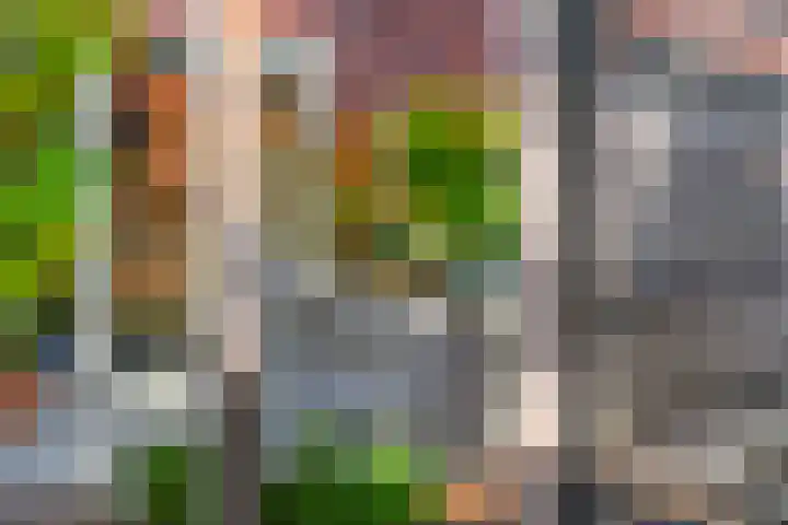 Tureluur 57 Maurik thumbnail 22
