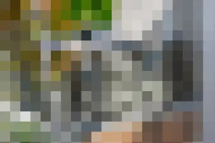 Tureluur 57 Maurik thumbnail 23