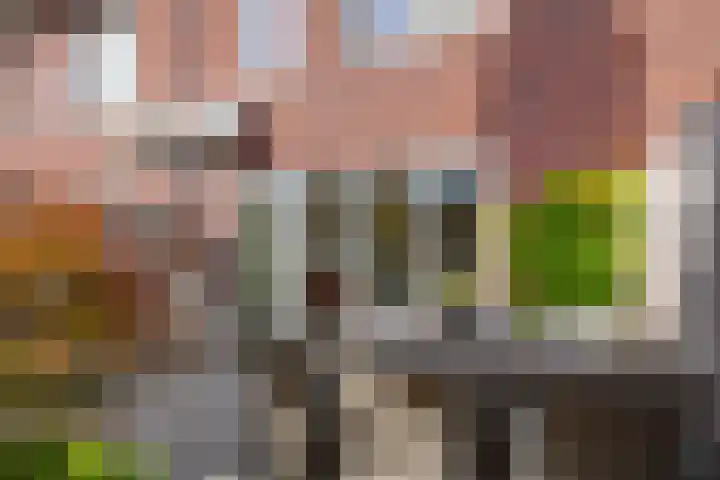 Tureluur 57 Maurik thumbnail 24