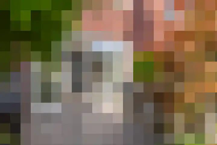 Tureluur 57 Maurik thumbnail 25