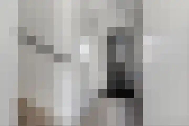 Tureluur 57 Maurik thumbnail 35