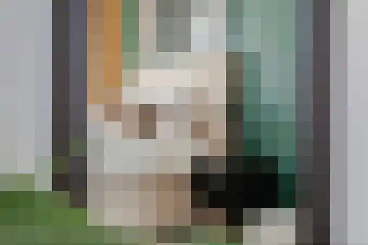 Tureluur 57 Maurik thumbnail 36