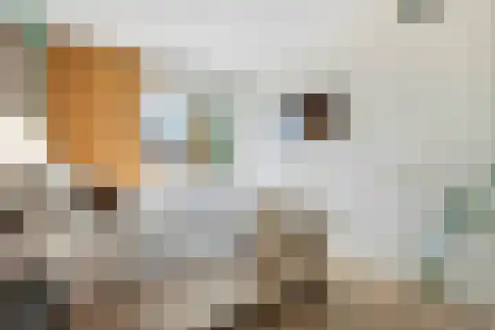 Tureluur 57 Maurik thumbnail 38