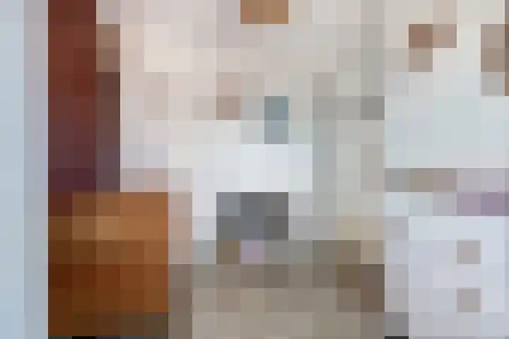 Tureluur 57 Maurik thumbnail 41