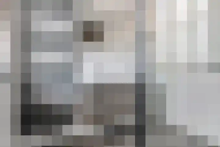 Tureluur 57 Maurik thumbnail 43