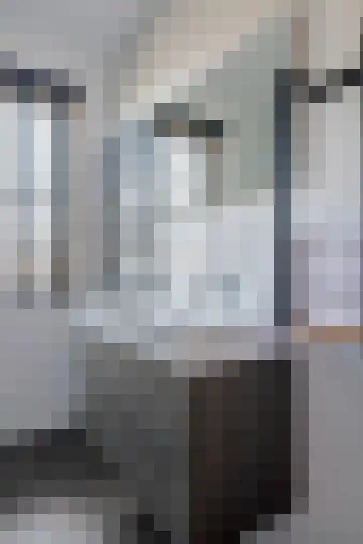 Tureluur 57 Maurik thumbnail 44