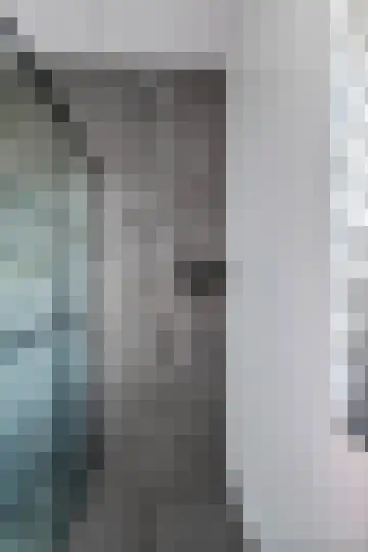Tureluur 57 Maurik thumbnail 45