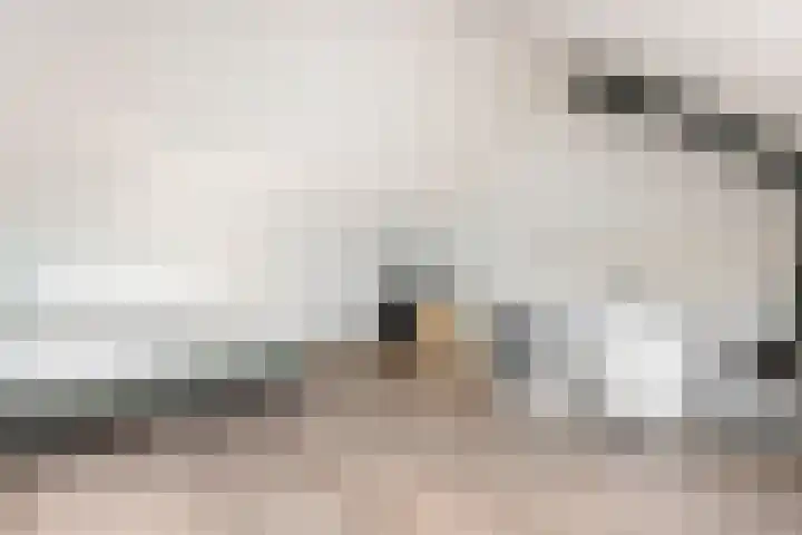Tureluur 57 Maurik thumbnail 49