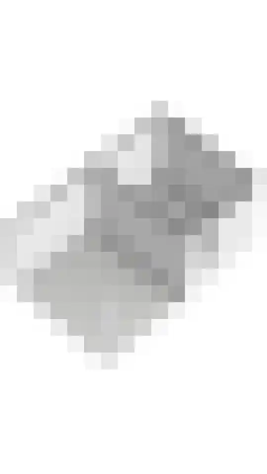 Tureluur 57 Maurik thumbnail 51