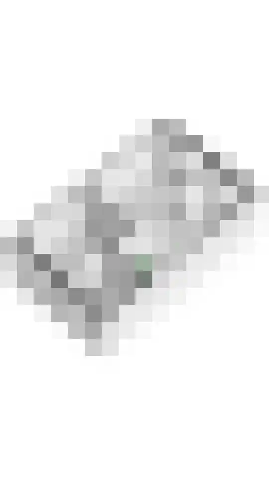 Tureluur 57 Maurik thumbnail 55