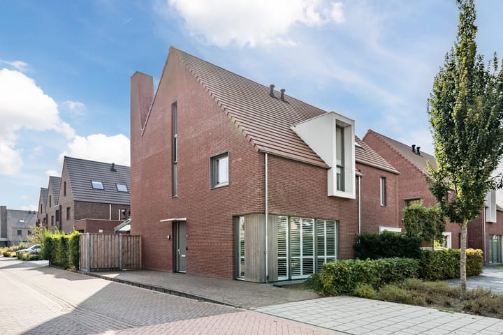 Tureluur 7 in Geldrop foto