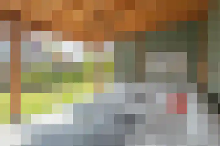 Turfberg 27 Zoetermeer thumbnail 15