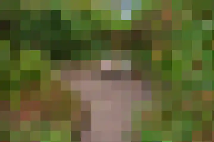 Turfberg 27 Zoetermeer thumbnail 15