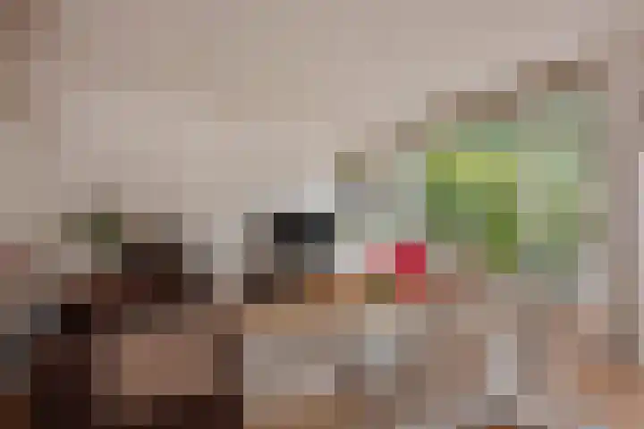 Turfberg 27 Zoetermeer thumbnail 16