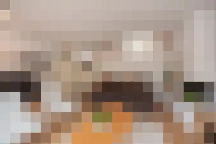 Turfberg 27 Zoetermeer thumbnail 22