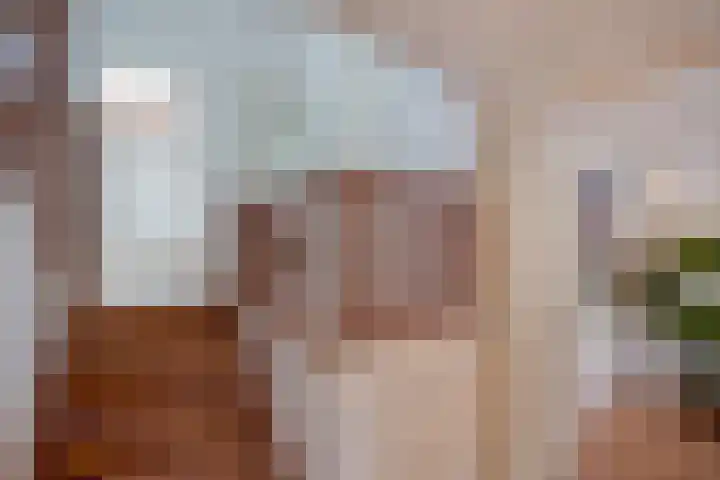 Turfberg 27 Zoetermeer thumbnail 26