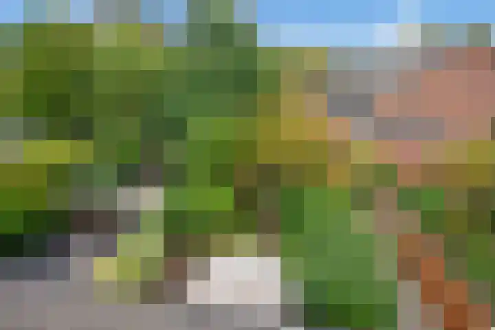 Turfberg 27 Zoetermeer thumbnail 28