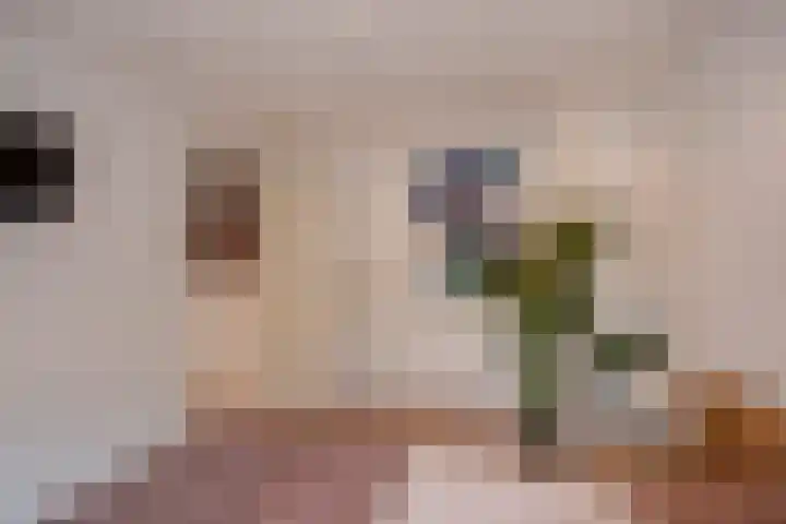 Turfberg 27 Zoetermeer thumbnail 29