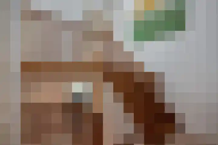 Turfberg 27 Zoetermeer thumbnail 37
