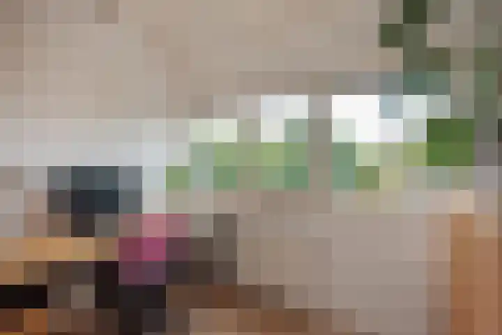 Turfberg 27 Zoetermeer thumbnail 38