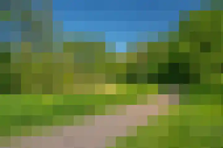 Turfberg 27 Zoetermeer thumbnail 47