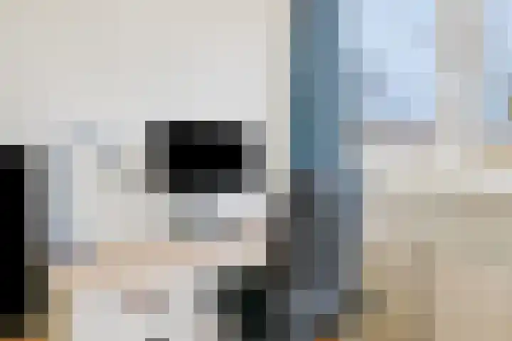 Turfberg 8 Amersfoort thumbnail 32