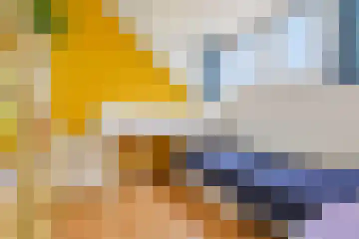 Turfberg 8 Amersfoort thumbnail 33