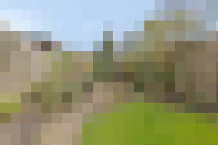 Turfberg 8 Amersfoort thumbnail 39