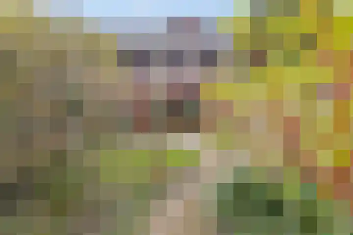 Turfberg 8 Amersfoort thumbnail 42