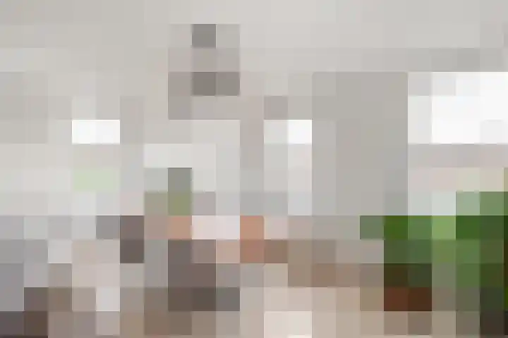 Turfeiker 10 Woubrugge thumbnail 11