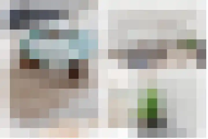 Turfeiker 10 Woubrugge thumbnail 13
