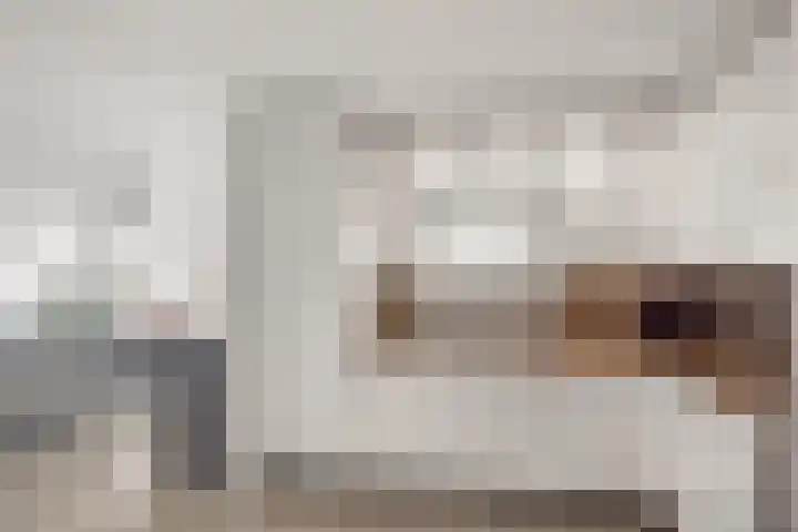 Turfeiker 10 Woubrugge thumbnail 14