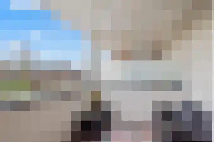 Turfeiker 10 Woubrugge thumbnail 17