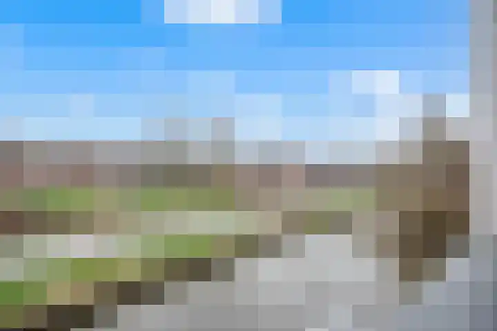 Turfeiker 10 Woubrugge thumbnail 18