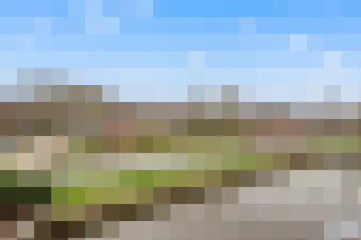 Turfeiker 10 Woubrugge thumbnail 19