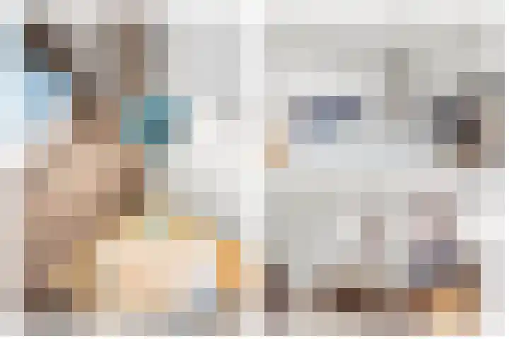 Turfeiker 10 Woubrugge thumbnail 23