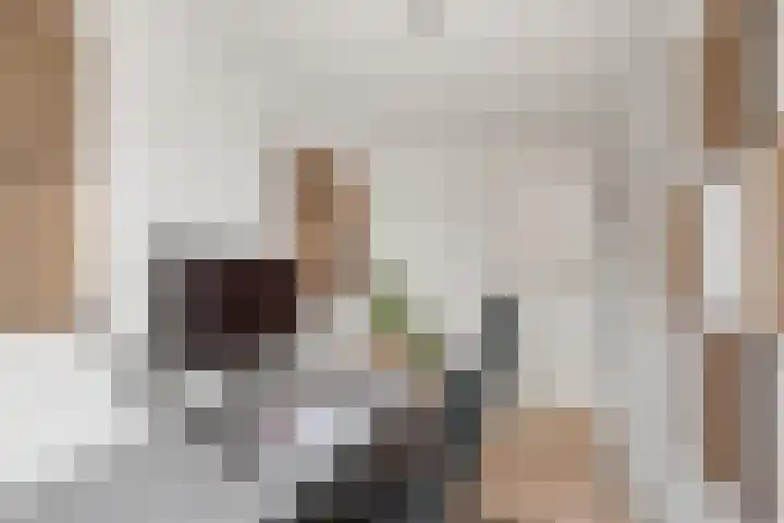 Turfeiker 10 Woubrugge thumbnail 27