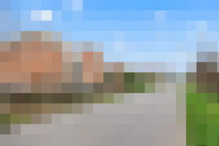 Turfeiker 10 Woubrugge thumbnail 28